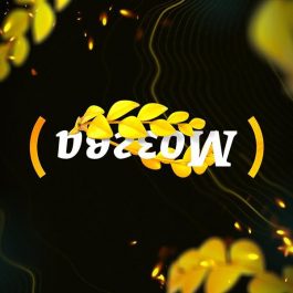 Квиз Мозгва Новички 604 День 2